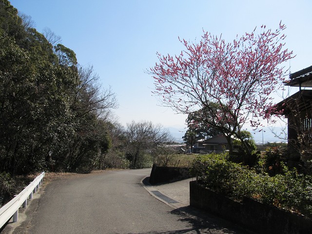 t05_178.jpg