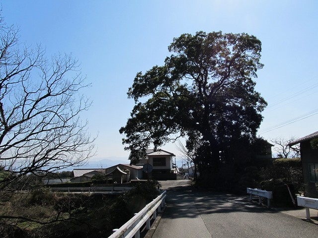 t05_180.jpg
