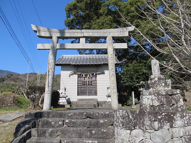 t05_182.jpg