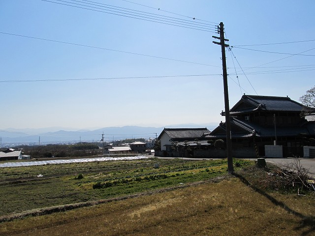 t05_189.jpg