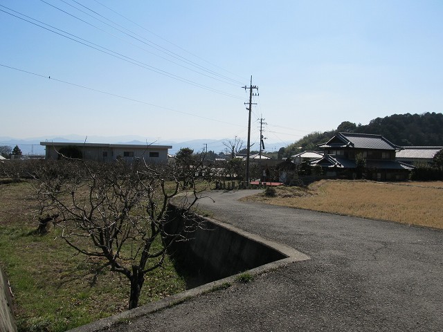 t05_193.jpg