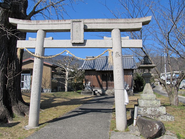 t05_195.jpg
