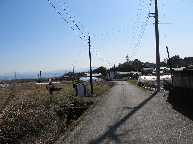 t05_197.jpg