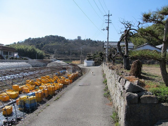 t05_198.jpg
