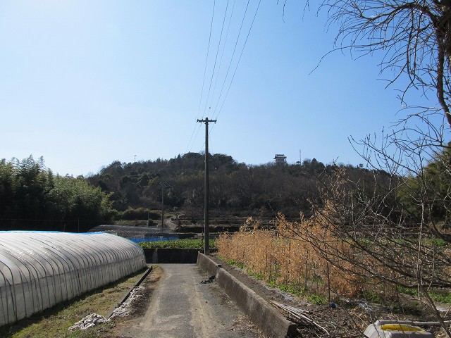 t05_199.jpg