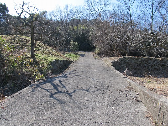 t05_200.jpg