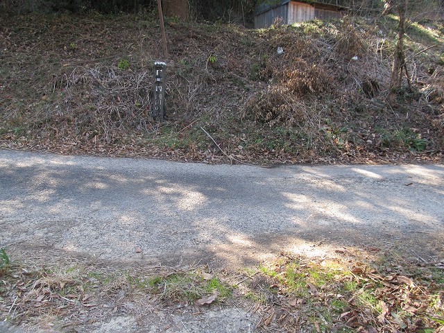 t05_201.jpg