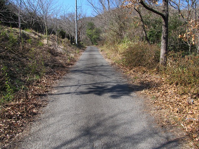 t05_202.jpg