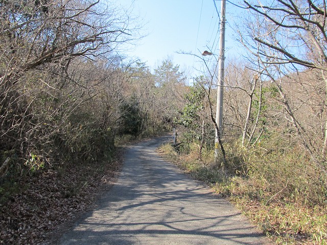 t05_203.jpg