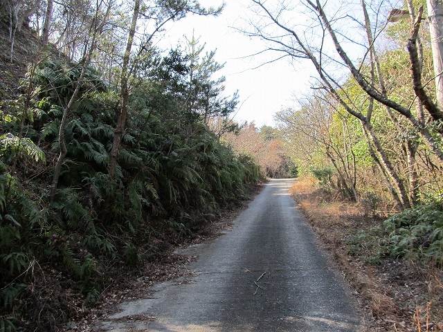 t05_204.jpg