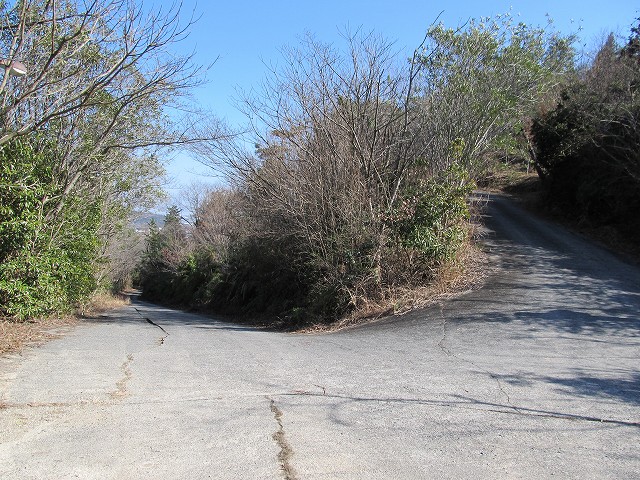 t05_205.jpg
