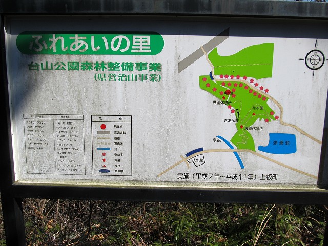 t05_206.jpg
