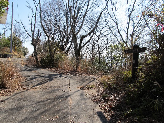 t05_207.jpg