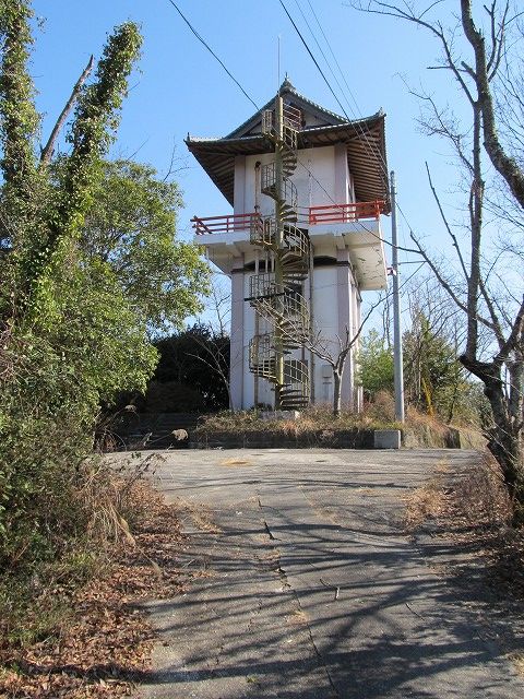 t05_208.jpg