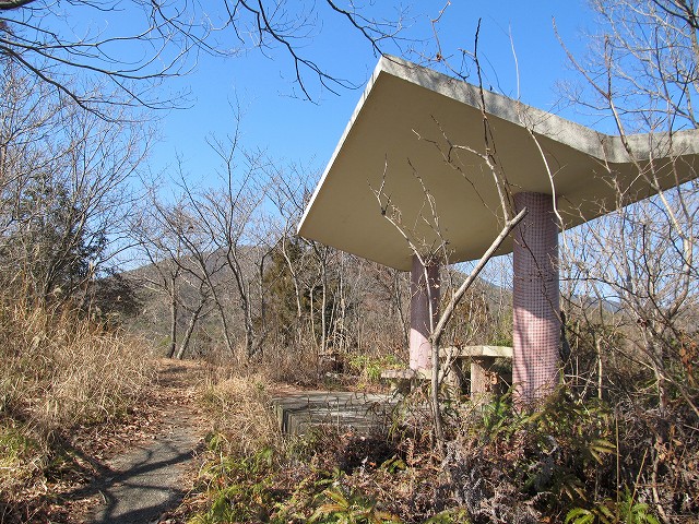 t05_210.jpg