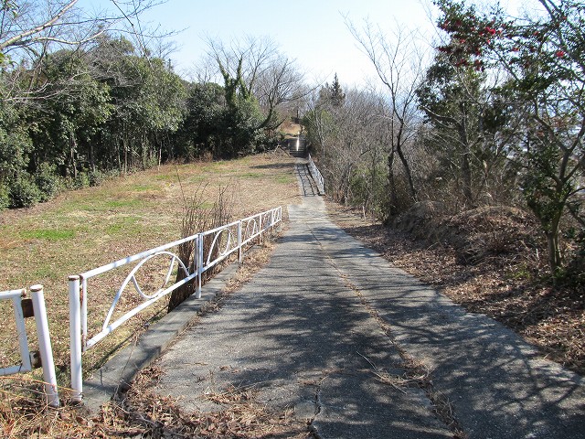t05_212.jpg