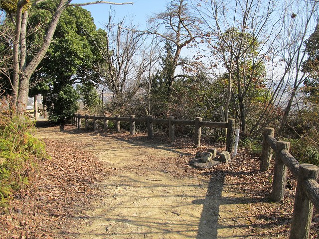t05_213.jpg