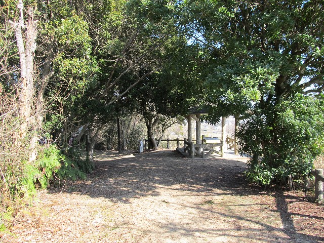 t05_214.jpg