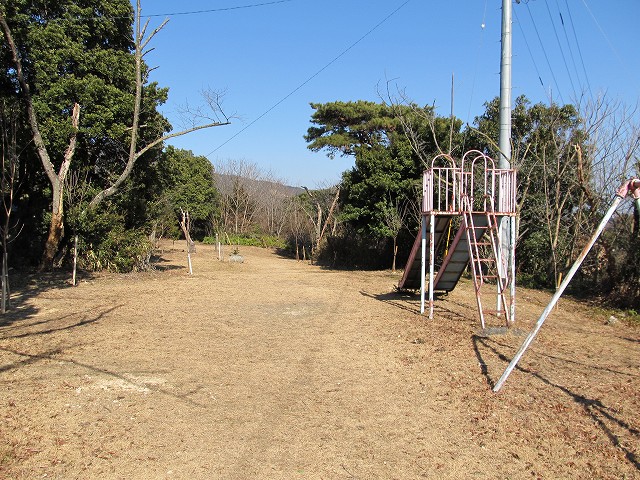 t05_217.jpg