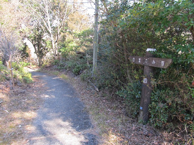 t05_218.jpg