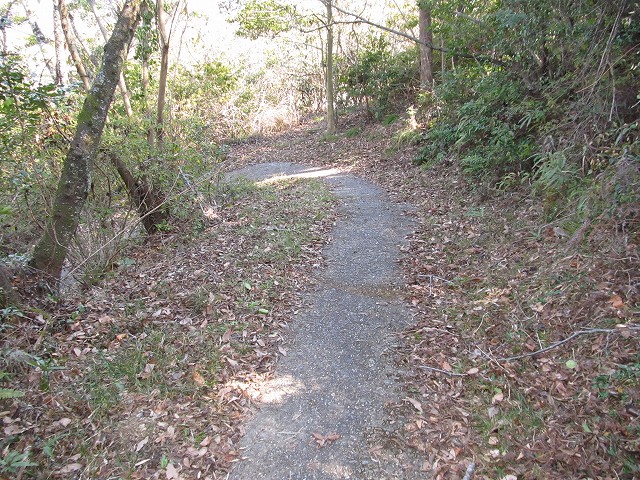 t05_219.jpg