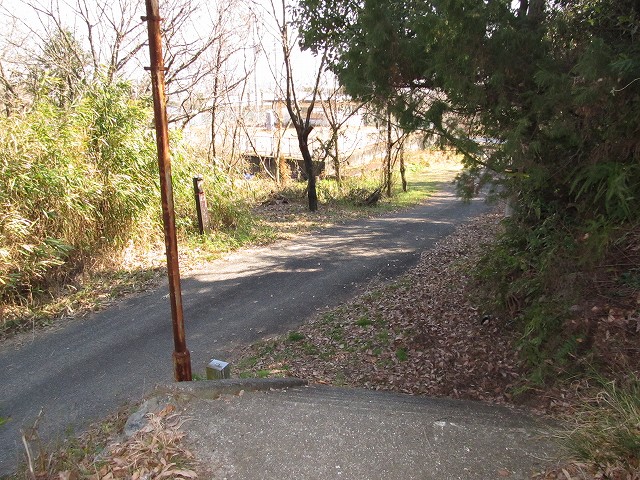t05_220.jpg