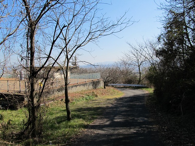 t05_221.jpg