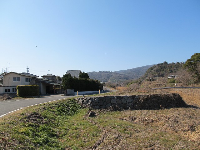 t05_230.jpg