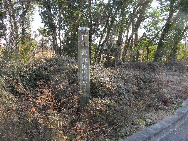 t05_231.jpg