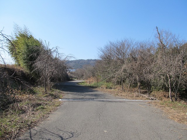 t05_233.jpg