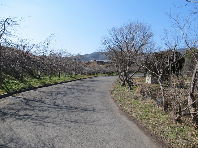 t05_234.jpg