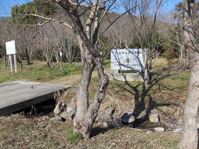 t05_235.jpg