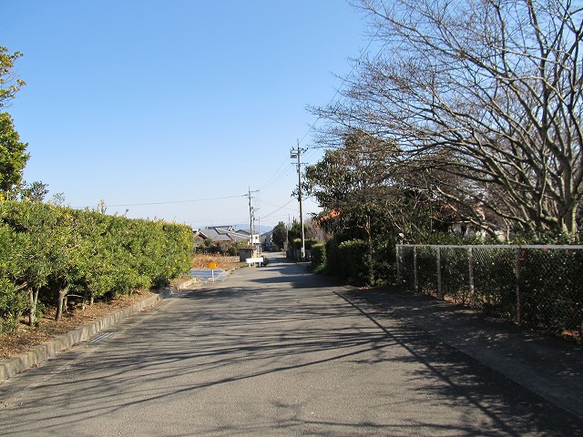 t05_241.jpg