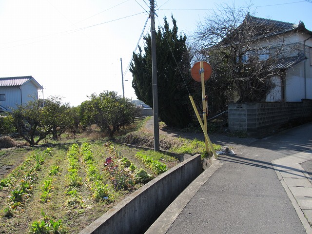 t05_242.jpg
