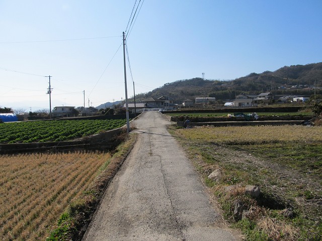 t05_243.jpg