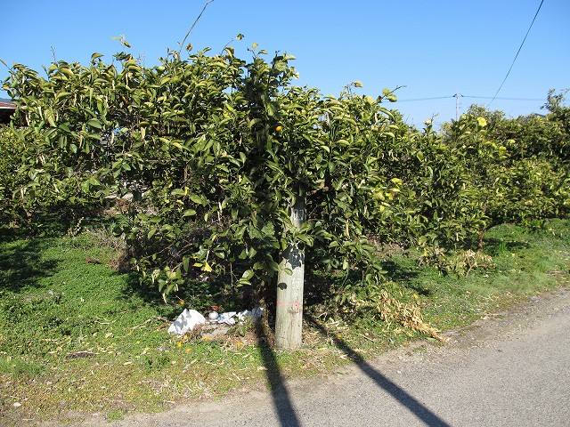 t05_246.jpg