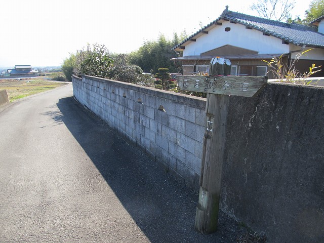 t05_251.jpg