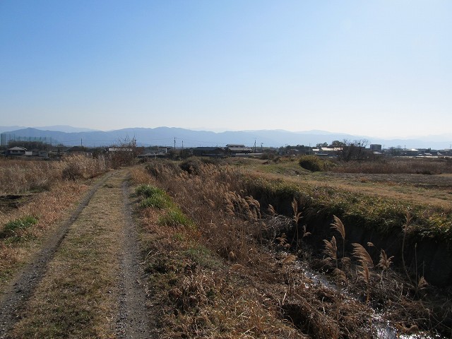 t05_257.jpg