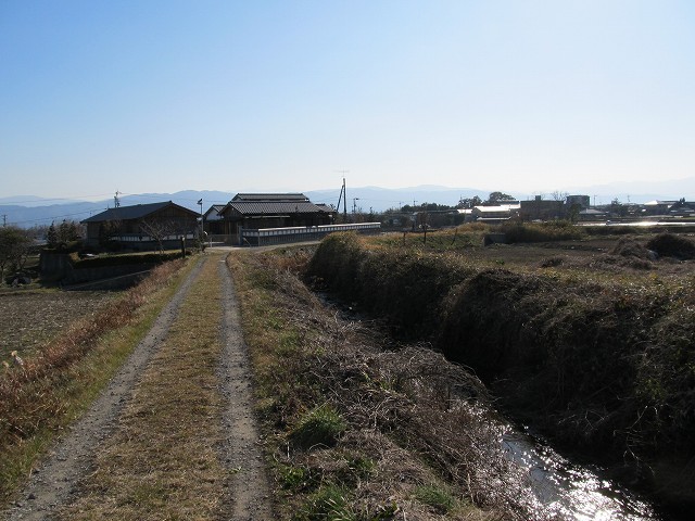 t05_258.jpg