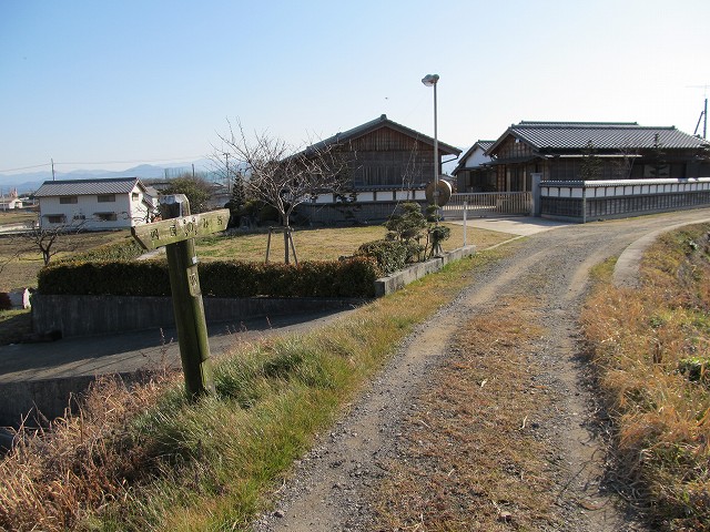 t05_259.jpg