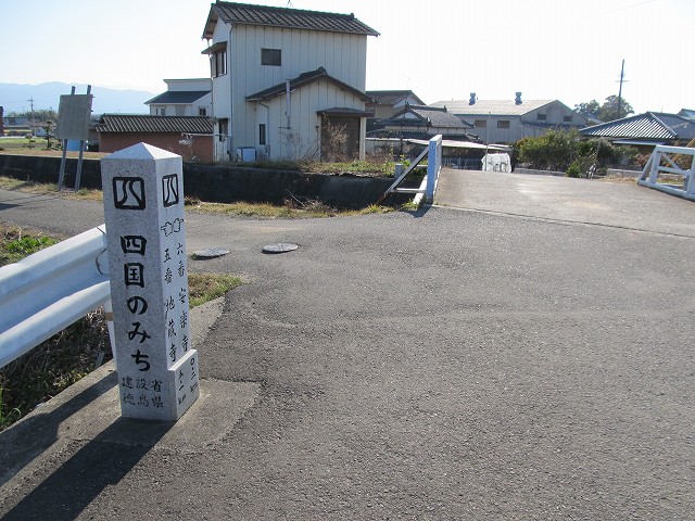 t05_262.jpg