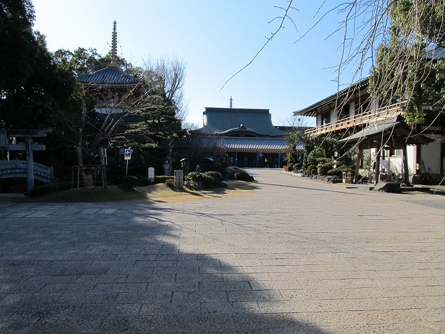 t05_265.jpg