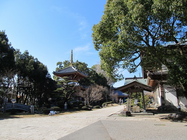 t06_002.jpg