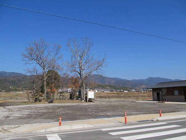 t06_005.jpg