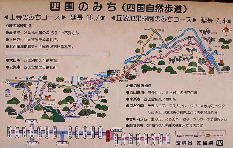 t06_007.jpg