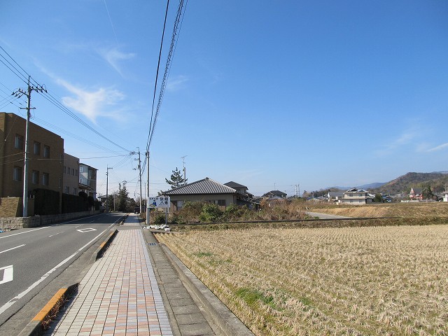 t06_008.jpg