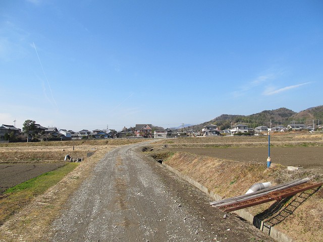 t06_010.jpg