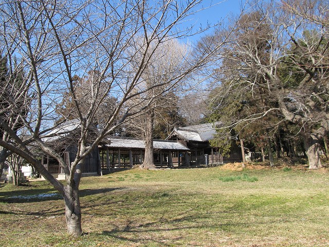 t06_016.jpg