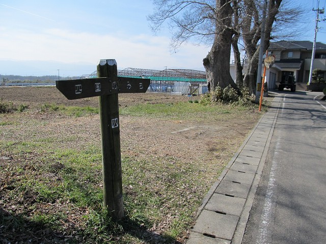t06_018.jpg