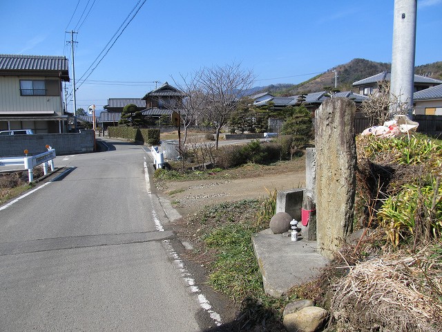 t06_021.jpg